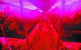  我国“人造生物圈”试验成功 或将用于月球基地