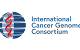 国际癌症基因组协会在中国新增4个研究项目