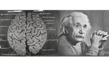 功能成像技术揭示爱因斯坦大脑皮层的独特之处