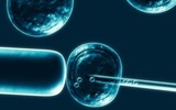 剑桥大学成立干细胞研究中心旨在推进临床应用