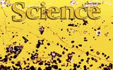 6月14日Science杂志精选