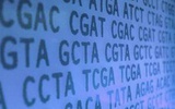 基因测序可以追踪瘟疫来源地