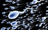 Cryos公司组建世界最大精子库   每年辅孕2000婴儿
