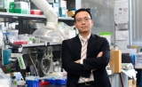 专访 | 华人科学家程柯教授：2018年，希望干细胞治疗多出新突破