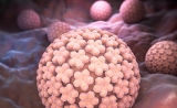 Cell：迄今最大规模HPV16全基因组研究找到保守致癌蛋白
