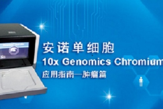 3篇10分文章，10x Genomics带你玩转肿瘤研究