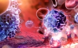 Science重要成果：癌症免疫疗法新突破——NK细胞抗癌实力被证实！
