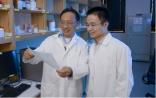 中国科学家Science医学：发现癌症治疗误区