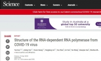 瑞德西韦治疗新冠首份临床研究公布，饶子和院士团队Science新成果揭晓瑞德西