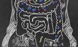 科学家揭秘：肠道微生物是如何与大脑交流的