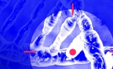 Nature最新成果！规避CRISPR的“脱靶效应”，关键在引导RNA
