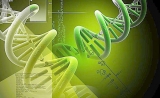 刷新认知无上限：生物能自行将两个基因融合成新的