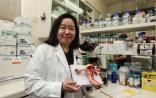 香港大学女教授破解卵巢癌基因密码