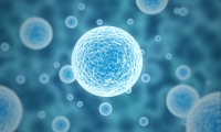 Nature：细胞的精明超乎想象，根据微环境改变来调整自身能量供给！