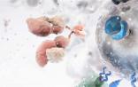 《新英格兰医学杂志》：肺腺癌细胞治疗有新突破