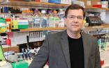 Cell重大发现：首次！科学家找到“魔剪”CRISPR“关闭”开关