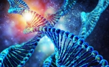 首份！17条共识！美权威机构发布NGS生物信息流程标准和指南