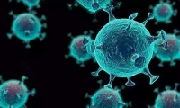 Science：正常细胞也能杀死癌细胞？科学家发现对抗肝癌新策略