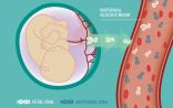 NEJM多文聚焦NIPT假阳性，边旭明教授从临床解析原因