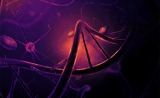 泼冷水！Nature子刊“惊人发现”：CRISPR可能增加癌症风险