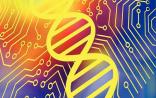 Cell：前列腺癌大型多组学分析可用于精准医疗