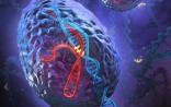 Science“力挺”Nature：新型“魔剪”CRISPR，仅“改写”单个核苷酸！