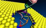 Nature Methods：便携、低成本的单细胞RNA测序新手段