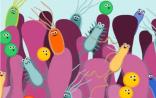 微生物的江湖:火热的研究，蒙圈的产业，以及保健品的第二春