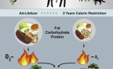 重要证据！人体试验表明：节食或能延缓衰老
