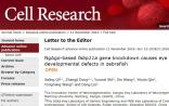 被刷屏！Cell Research 报道 NgAgo 有效，但功能不是基因编辑
