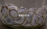 BBC关注中国科学革命：猪眼看世界，猪角膜移植人体