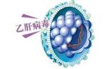 Hepatology: 复旦大学发表乙肝个性化治疗研究