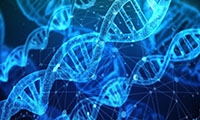 Science重磅：迄今为止最小的基因编辑工具，体积仅为CRISPR-Cas9的一半！