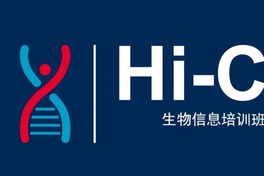 30天连开2次的培训班，敲及值得来哦~