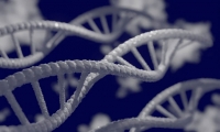  国内首个基因编辑疗法临床试验申请获受理