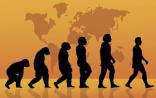 Nature：人类进化得更易发胖和代谢更快是大脑所需