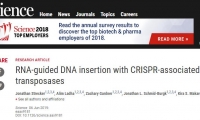 新型CRISPR要火！国际顶级杂志接连发文，小小“跳跃基因”有大作用