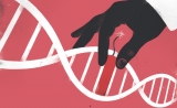Cell：重磅！利用改进的CRISPR/Cas9系统校正微卫星重复扩增疾病中的RNA缺陷