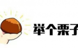 进阶|染色体水平的单体型基因组组装最新策略大放送