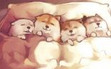 睡眠时间超9小时，痴呆风险高2倍！