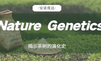 Nature Genetics：茶树单体型基因组组装揭示茶树的演化史