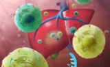 北京大学最新Cell！首次在单细胞水平描绘肝癌微环境中的免疫图谱