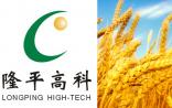 隆平高科：或将牵手奥瑞金生物育种大布局