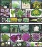 百迈客最新Nature Genetics发表文章解读