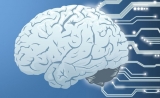 脑这一辈子，攒了多少“突变”？丨两篇Science共同关注