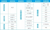 新品上市！明德生物MD-IA-1000 全自动免疫定量分析仪