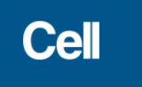 Cell挑战原有观点：ESCRT样程序性细胞坏死