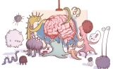 肠道微生物失衡为何会引发焦虑抑郁？答案在大脑中的microRNAs