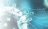 Caris生命科学在格拉斯哥举行的国际药物经济学与结果研究协会（ISPOR）欧洲年