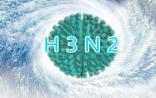 H3N2变种，香港64人死亡！